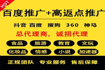 成功SEM服务案例分析报告